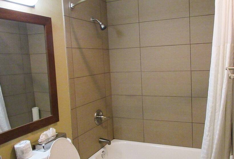 Номер Стандарт 2 Двуспальные Кровати, Comfort Inn Modesto