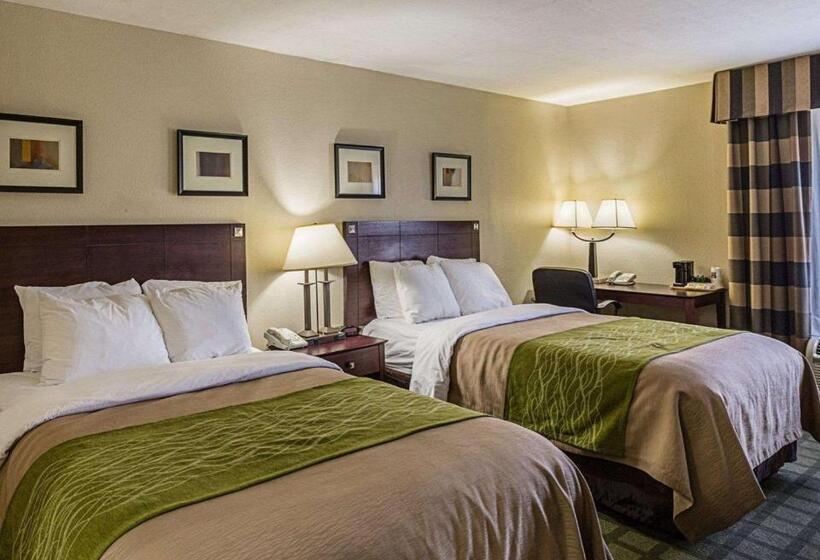 ２ダブルベッドのスタンダードルーム, Comfort Inn Southwest Fwy At Westpark