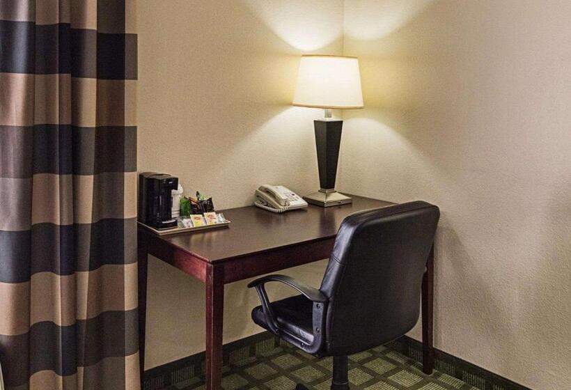 스탠다드 룸 킹사이즈 침대, Comfort Inn Southwest Fwy At Westpark