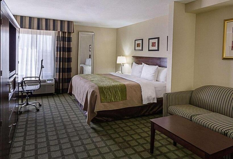 스위트 킹사이즈 침대, Comfort Inn Southwest Fwy At Westpark