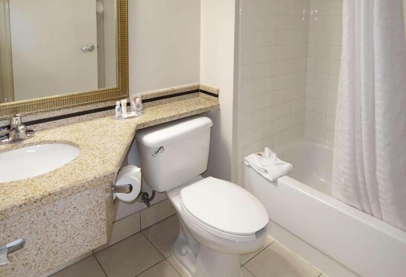 キングサイズベッドのスイートルーム, Comfort Inn Southwest Fwy At Westpark