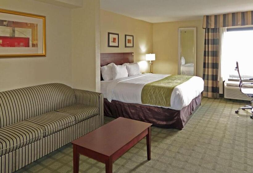 스위트 킹사이즈 침대, Comfort Inn Southwest Fwy At Westpark