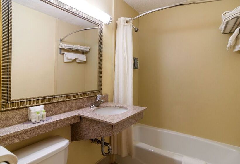 豪华房间, Red Carpet Inn Newark  Irvington Nj