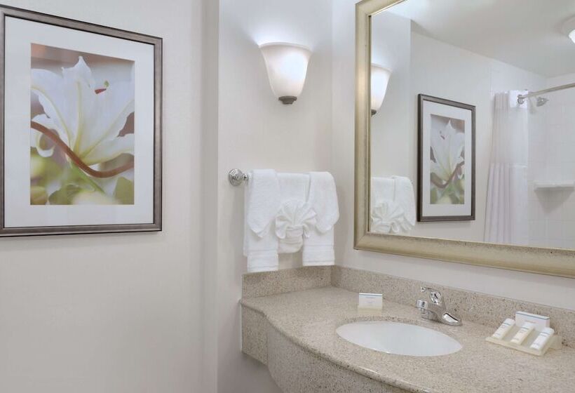Quarto Estandar, Hilton Garden Inn Worcester