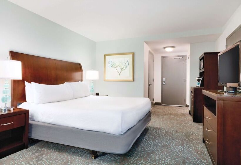 Quarto Estandar Cama King para Deficientes Físicos, Hilton Garden Inn Worcester