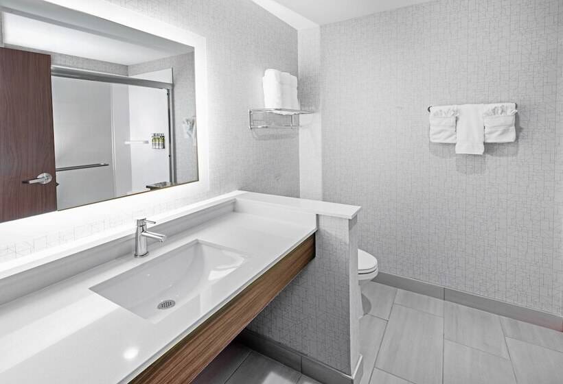Люкс Адаптированный для Инвалидов, Holiday Inn Express & Suites   Stafford Nw   Sugar Land, An Ihg