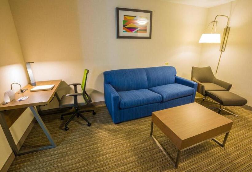 Люкс Кровать Кинг, Holiday Inn Express Hotel & Suites Pasco Tricities, An Ihg