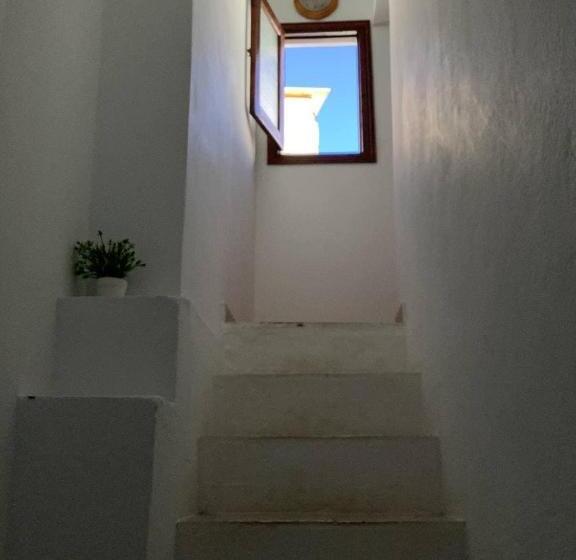 اتاق استاندارد با سرویس بهداشتی مشترک, Banana Surf House