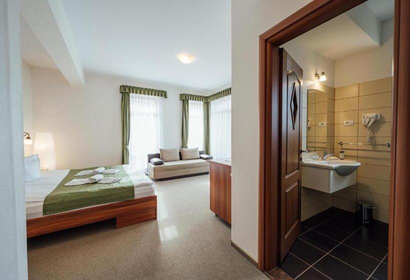 اتاق سوپریور خانوادگی, Pensiunea Comfort