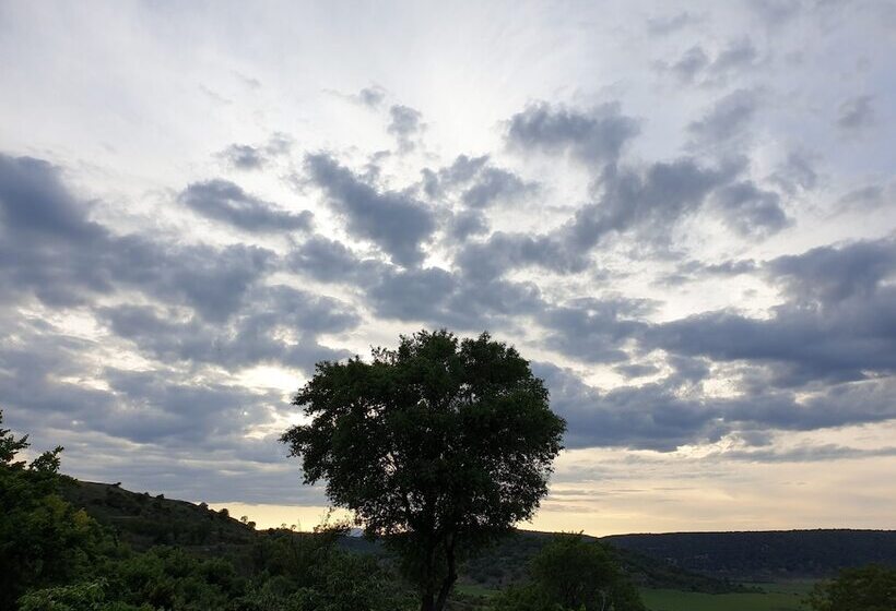 Номер Стандарт, Cardamomo Sigüenza