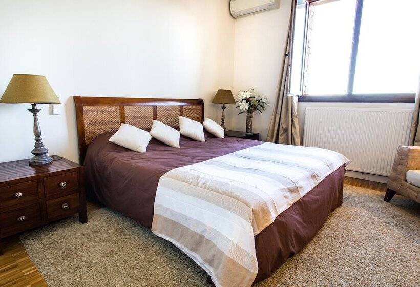 Номер Стандарт, Cardamomo Sigüenza