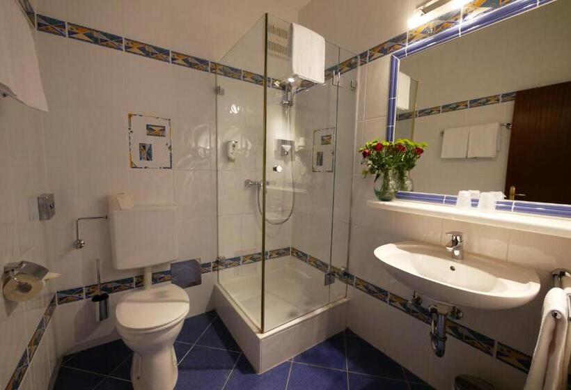 Номер Стандарт Трехместный, Stoiser Graz