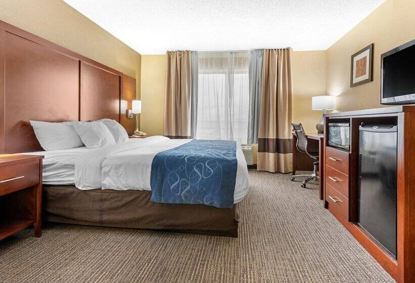 Люкс, Comfort Suites
