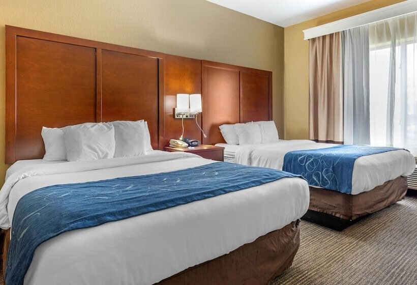 Люкс, Comfort Suites