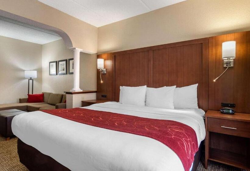 Люкс Кровать Кинг, Comfort Suites Woodstock   Atlanta North