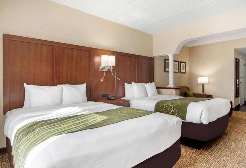 Люкс, Comfort Suites Woodstock   Atlanta North