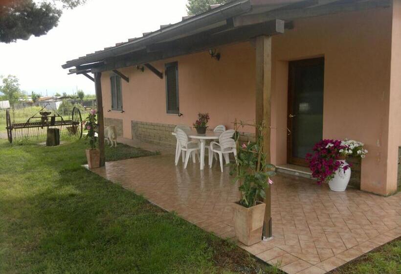 Номер Стандарт, Agriturismo Il Selvello