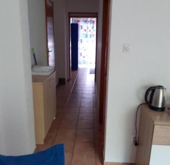 آپارتمان 1 خوابه, Guest House Vila Bak