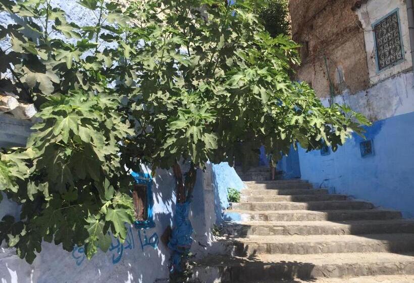חדר יחיד בסיסי, La Petite Chefchaouen