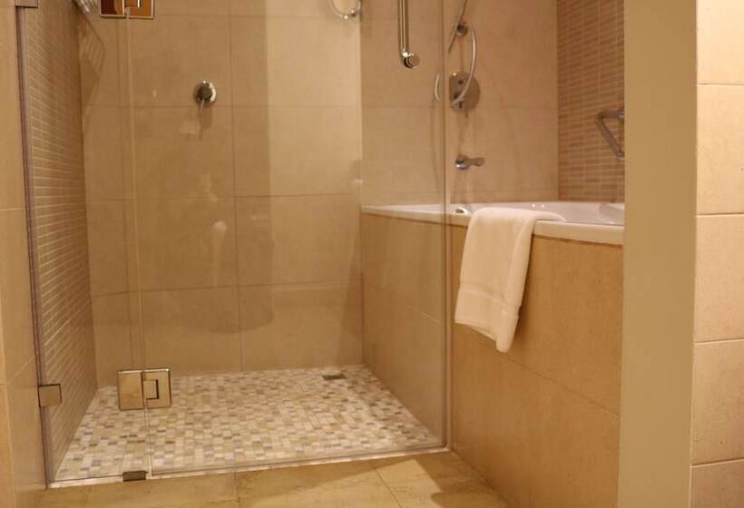 اتاق استاندارد, Crowne Plaza Sohar, An Ihg