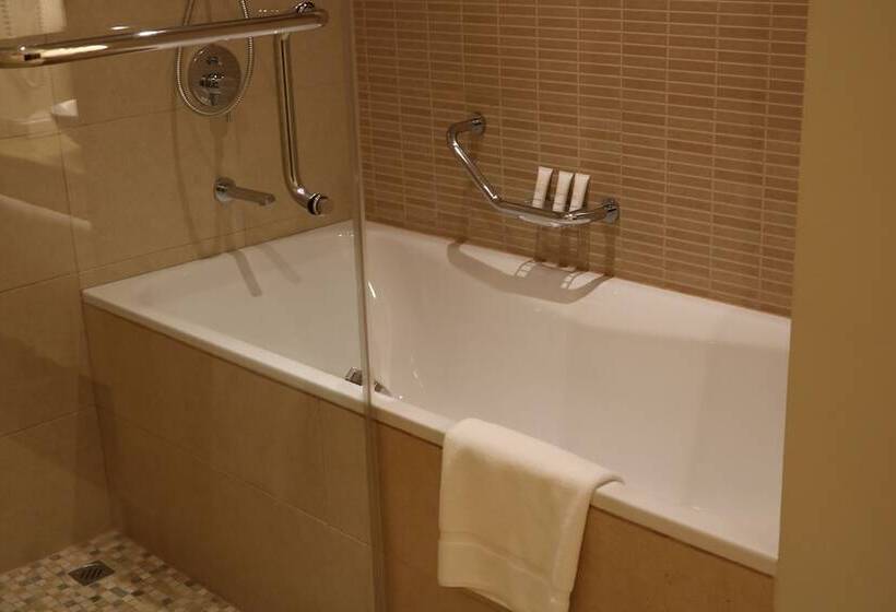 اتاق استاندارد با تخت دوبل, Crowne Plaza Sohar, An Ihg