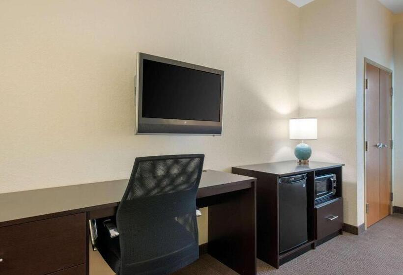 장애인을 위한 킹사이즈 침대 스탠다드 룸, Sleep Inn & Suites Port Charlottepunta Gorda