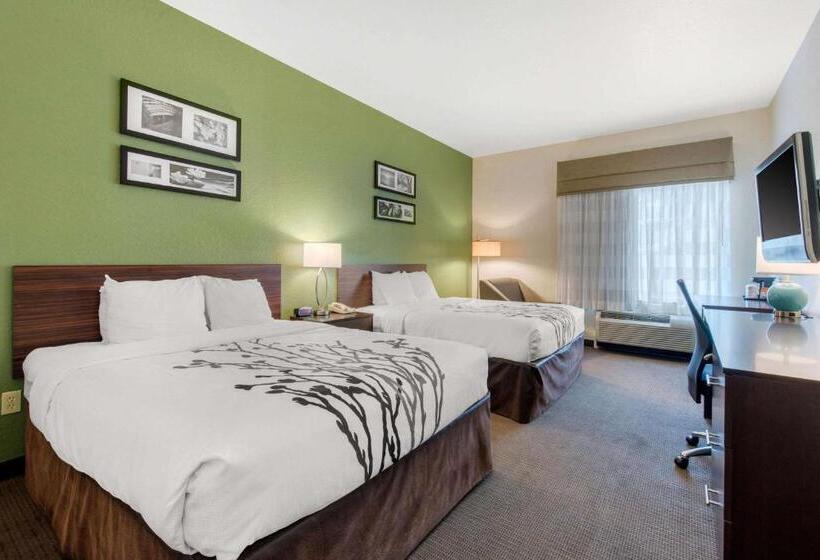 장애인을 위한 스탠다드 룸, Sleep Inn & Suites Port Charlottepunta Gorda