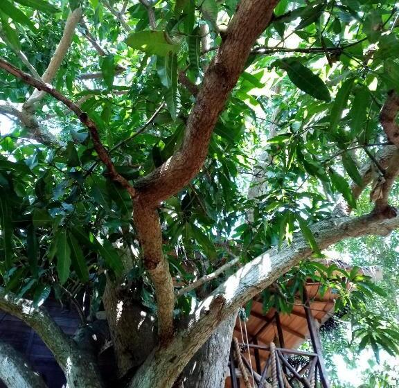 خانه 1 خوابه, Green Park Safari House & Eco Tree House