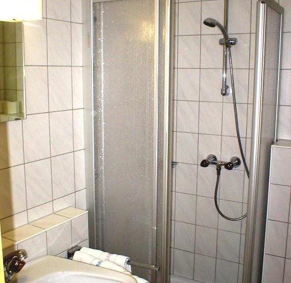 Номер Стандарт, Baumgartnerhof