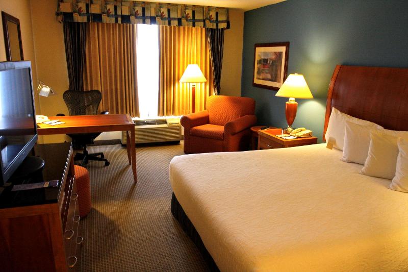 Стандартный Номер Кровать Кинг, Hilton Garden Inn Albany