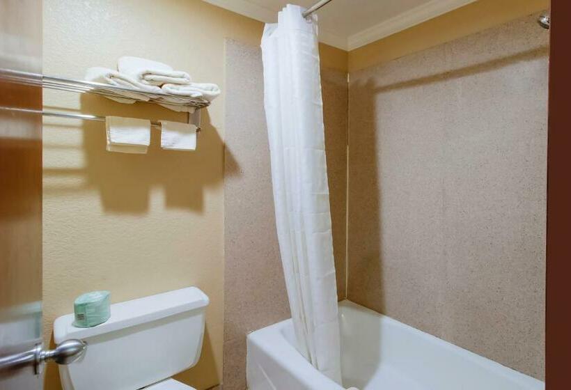 Стандартный Номер Кровать Кинг, Oyo Pinewood Inn & Suites Silsbee