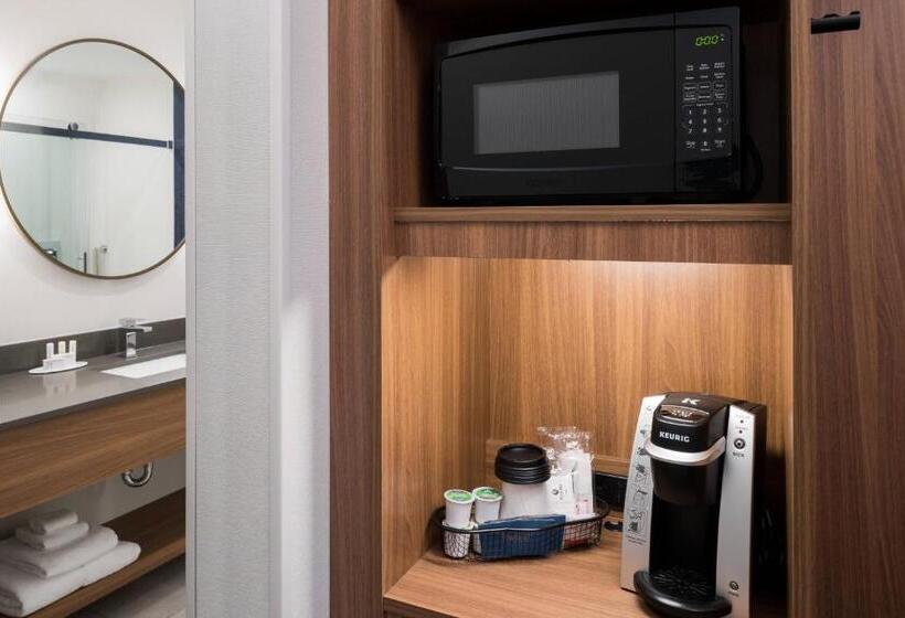 Номер Стандарт, Fairfield Inn & Suites By Marriott Savannah I95 North