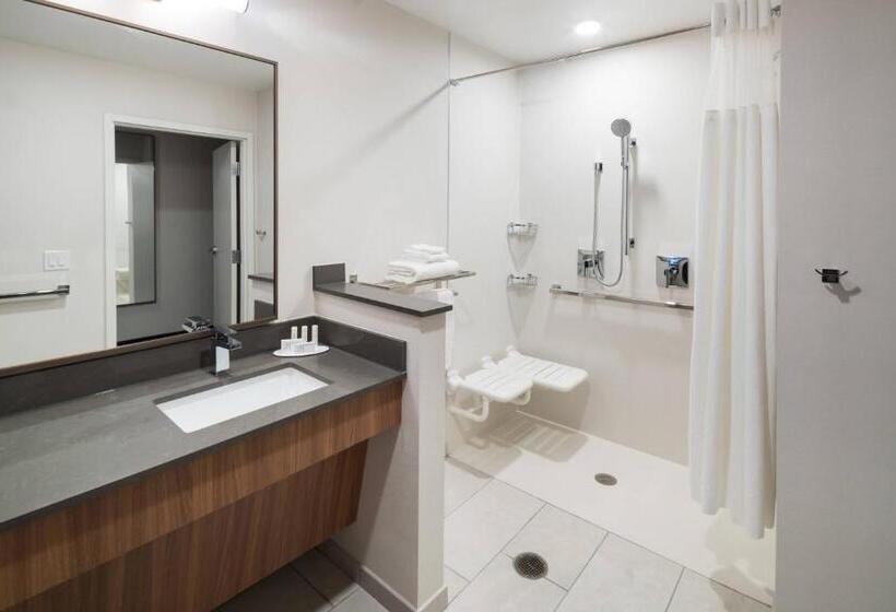 Номер Стандарт Кровать Кинг Адаптированный для Инвалидов, Fairfield Inn & Suites By Marriott Savannah I95 North