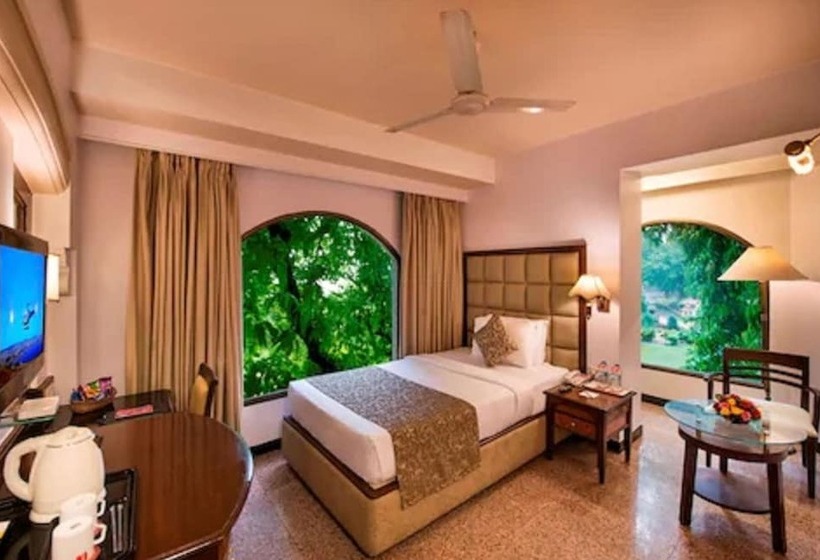 اتاق استاندارد یک نفره, Lords Inn Vadodara