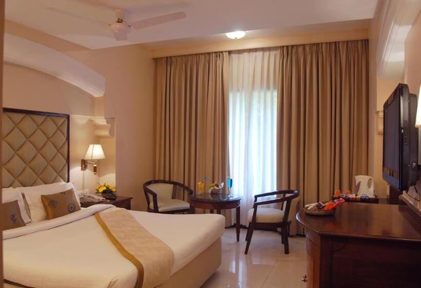 اتاق اجرایی با تخت بزرگ, Lords Inn Vadodara