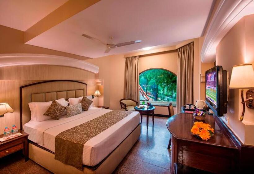 اتاق اجرایی با تخت بزرگ, Lords Inn Vadodara
