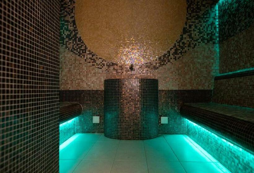 اتاق استاندارد با دسترسی به اسپا, Olanesti & Spa Medical