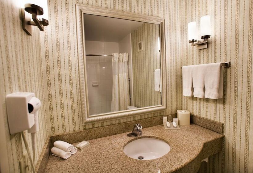 Номер Стандарт 2 Двуспальные Кровати, Hilton Garden Inn Chicago / Oak Brook