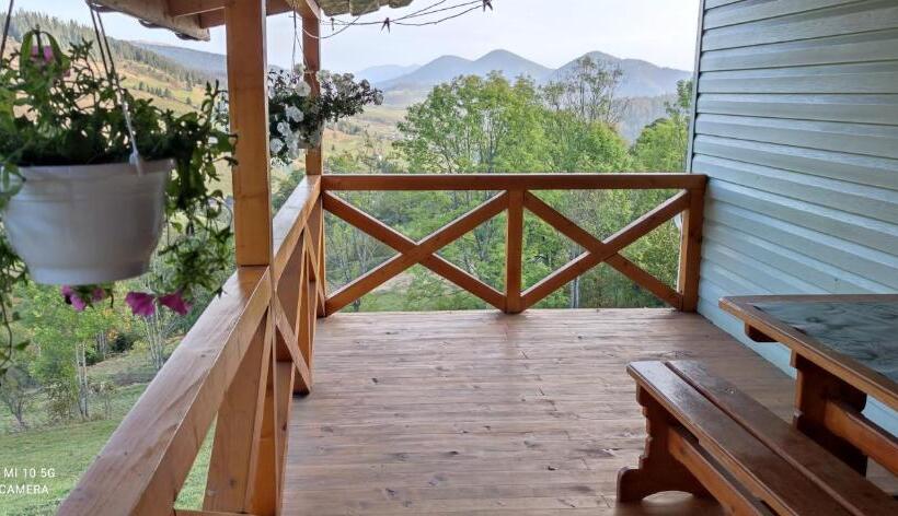 Номер Стандарт, Green House Panorama Karpat