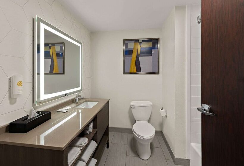 스위트, Comfort Suites Columbus East Broad