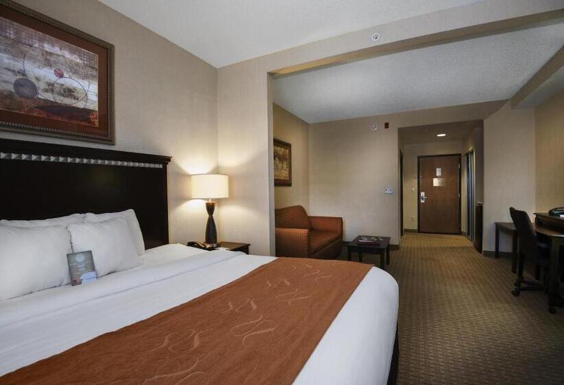Люкс Адаптированный для Инвалидов, Comfort Suites