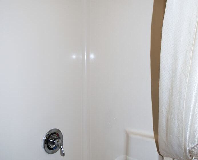 اتاق استاندارد با 2 تخت دوبل, Econo Lodge Downtown
