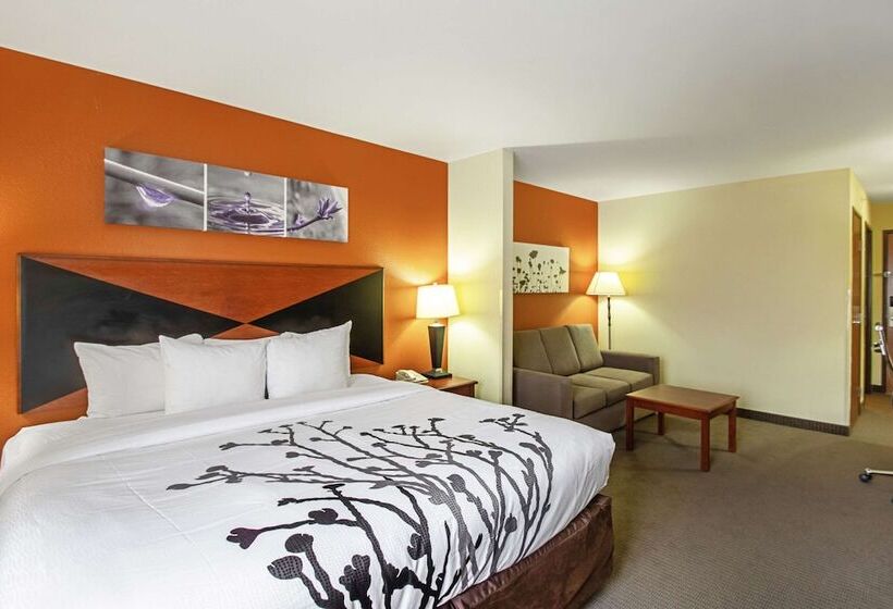 Люкс, Sleep Inn & Suites Madison   Monona