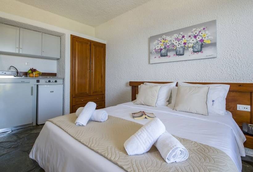 استودیوی استاندارد با چشم‌انداز دریا, Folia Apartments Chania