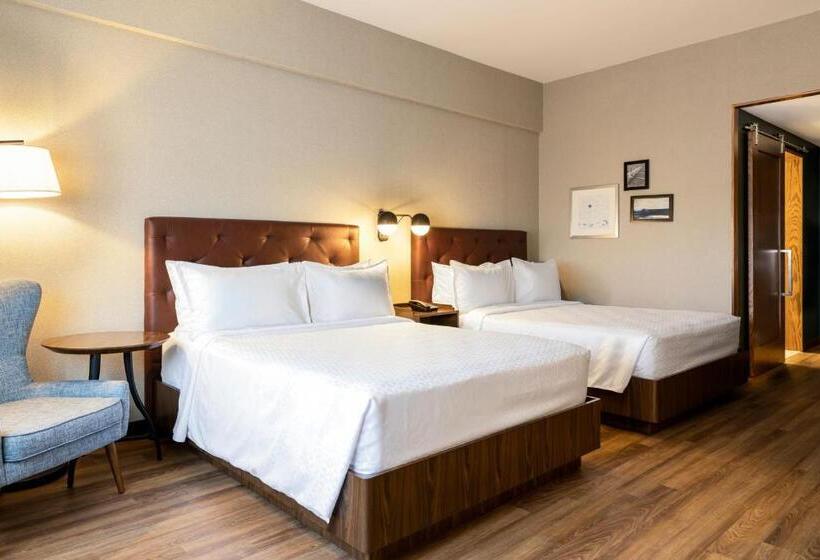 高级客房, Four Points By Sheraton Monterrey Airport
