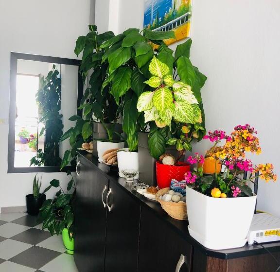 آپارتمان 1 خوابه با بالکن, Guesthouse Jasmine