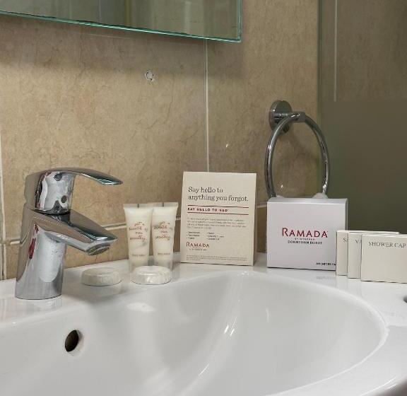 اتاق استاندارد با تخت بزرگ, Ramada By Wyndham Downtown Beirut