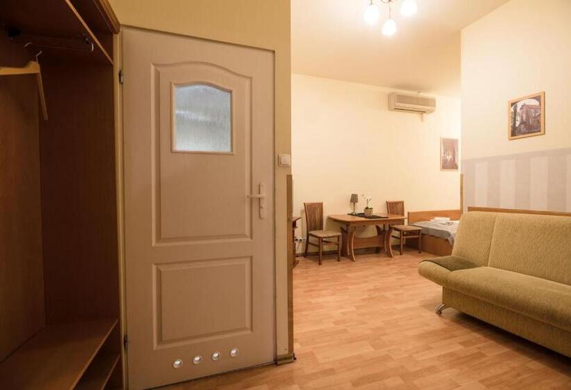 דירת חדר, Golden Lion Guest Rooms Szewska 19