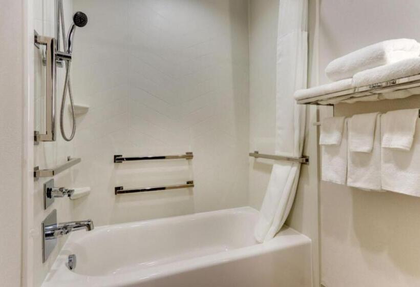 스탠다드 룸 킹사이즈 침대, Fairfield By Marriott Inn & Suites Dalton