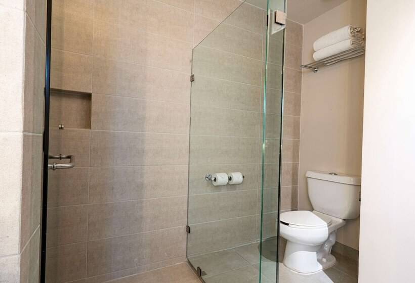 Номер Стандарт 2 Двуспальные Кровати, Best Western Plus Riviera Veracruz